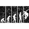 Skateboarder Skateboard Skater Skate Evolution