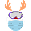Skiing