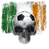Ireland Football Fan