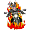 Fire Malinois