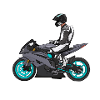 Supermoto / Supermotard / Supermoto Wheelie Biker