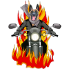 Fire malinois droit