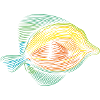 Bunter Fisch