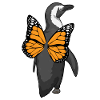 Ailes de papillon de pingouin
