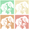 chien