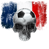 France Football Fan