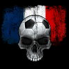 Frankreich Fußballfan