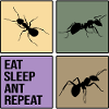 Ant colony of ants ant state