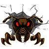 Ant ant colony fire ant"anti"