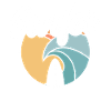 Surfer Surfboard Surfing