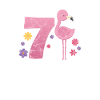 7th birthday Flamingo
