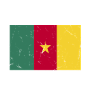 Team Cameroon Football