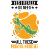 Gottesanbeterin Geschenk Mantis Fangschrecke