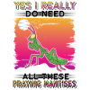 Gottesanbeterin Geschenk Mantis Fangschrecke
