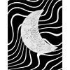 The moon