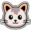 Bébé chat