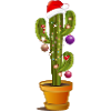 Julepyntet kaktus til jul