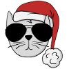 Cool Cat - Christmas cat
