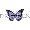 Butterfly Dreamer