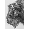 Wisent bw D4N3127