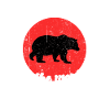 Cool bear saying