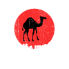 Cool dromedary saying