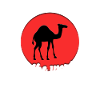 Cool dromedary saying
