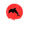 Cool dolphin saying