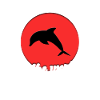 Cool dolphin saying