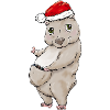 Winterwombat