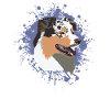 Dog Australian Shepherd Pet Breeding