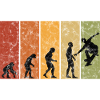 Skateboarder Skateboard Skater Skate Evolution