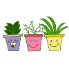 Funny plants