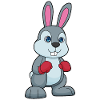 Hase Boxer Boxhandschuhe Boxen