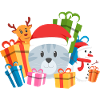 Christmas Cat Present
