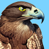 Eagle head illustration