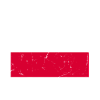 Équipe de Pologne de football