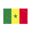 Team Senegal Calcio