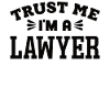 Lawyer Profession Lawyer Lawyer Law