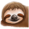 Sleeping Sloth Face