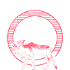 Canada Maple Origin Gift
