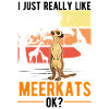 Suricate Cadeau Suricate