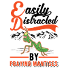 Gottesanbeterin Praying Mantis Fangschrecke