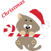 Chaton Noël
