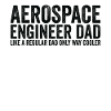 Father - aerospace engineer