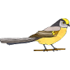 Oiseau
