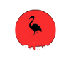 Cool Flamingo Saying