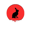 Cool rabbit saying