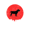Cool dog saying