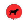 Cool dog saying
